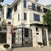 Cho thuê biệt thự Nam Cường, siêu đẹp, siêu rẻ