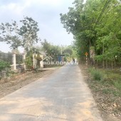 Bán đất nông nghiệp tại đường Phú Thuận (lộ giới 12m), thuộc xã Phú Mỹ Hưng, huyện Củ Chi, TP.HCM