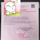 Đất Chánh Phú Hoà, Bến Cát 10 x 24m 2 tỷ 40 triệu, 5 x 24m 1 tỷ 30 triệu