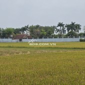 Bán lô đất vườn mặt tiền kênh An Nhơn Tây, Củ Chi, 1tr/m2