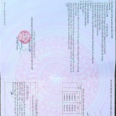 6x40, 1/Nguyễn Thị Lắng, Tân Phú Trung, Củ Chi. 3,3 tỷ thương lượng