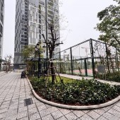 Vinhomes Ocean Park1. Chân đế Shophouse khu P4 Pavilion Dt 82 m Giá 8.6 tỷ