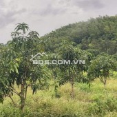 BÁN LÔ ĐẤT THÔN TÂY NAM, XÃ SÔNG CẦU, HUYỆN KHÁNH VĨNH, KHÁNH HOÀ.