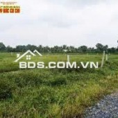 Gia đình cần bán gấp toàn bộ diện tích đất và nhà tại mặt tiền đường Điện Biên Phủ (Đường số 18 cũ)  thị trấn Lạc Tánh, huyện Tánh Linh, tỉnh Bình Thuận.