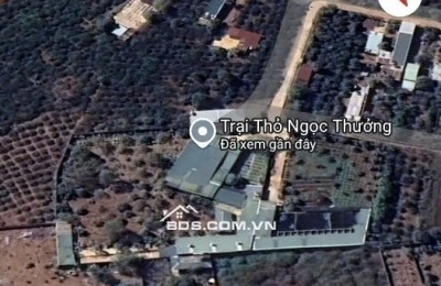 Bán 6.000m² Đất Trang Trại - Khu Nghỉ Dưỡng tại Đường Lý Chính Thắng, P.chi Lăng, Pleiku, Gia Lai