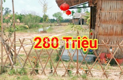 280 Triệu sang Tên 1000m2 có Thổ Cư, Gần DT 818, mỗi tháng trả thêm 3 triệu