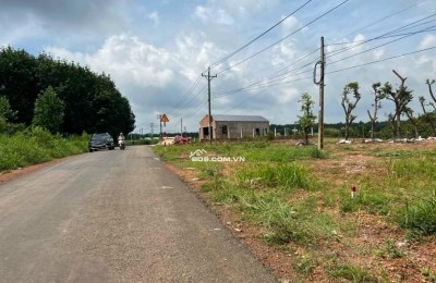 SỈ 7 LÔ 35X40=1400M2 THỔ CƯ SHR, WIEU ĐÀ LẠT, SÁT CHỢ DÂN ĐÔNG GIÁ 290TR