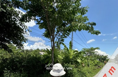 BÁN ĐẤT ĐẸP TẠI AN TRƯỜNG, CÀNG LONG, TRÀ VINH, 4700M2 CHỈ 250TR/1M NGANG. LH:0966397739