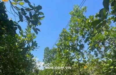 Bán lô đất đẹp ngay trung tâm Xã Đông Hòa Hiệp, Cái Bè, Tiền Giang