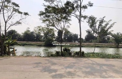 Bán 2750m2 đất mặt sông siêu đẹp Vàm Cỏ Tây, Thạnh Hoá, Long An, đường ô tô tận nơi