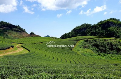 CHÍNH CHỦ CẦN VỐN KINH DOANH BÁN ĐẤT