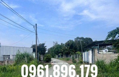 5400m2 đất Hòa Phú, Củ Chi, 1000m2 thổ cư,giá nhỉnh 3tr/m2.