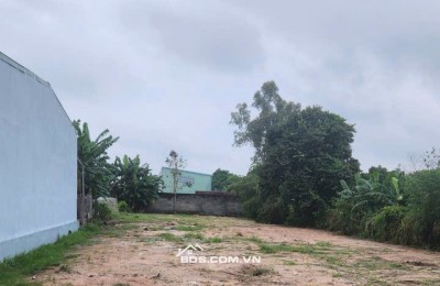 Ngộp bank. Bán gấp 1100m2 full thổ, đường Nguyễn Thị Lắng, Tân Phú Trung, Củ Chi.