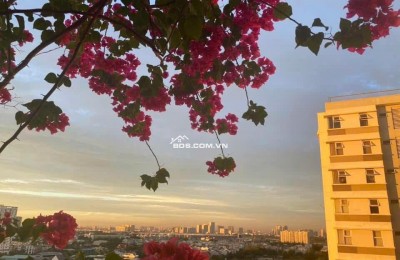 BÁN CĂN HỘ CHUNG CƯ FUJI – PHƯỚC LONG B, THỦ ĐỨC – FULL NỘI THẤT, VIEW 2 MẶT THOÁNG