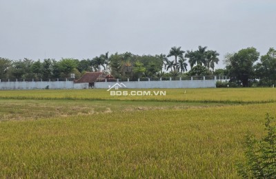Bán lô đất vườn mặt tiền kênh An Nhơn Tây, Củ Chi, 1tr/m2