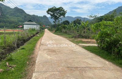 Chính chủ bán 440m2 trong đó 400m2 đất ở và 40m2 đất vườn tại Mai Hạ, Mai Châu, Hoà Bình