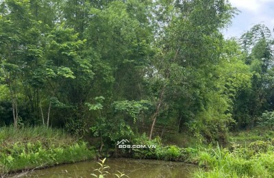Gia đình cần bán hơn 1000m2 đất vườn và 400m2 đất thổ cư tại Mai Hạ, Mai Châu, Hoà Bình