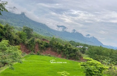 Chính chủ bán 720m2 đất làm homestay ở Pà Cò, Hang Kia giá 950tr