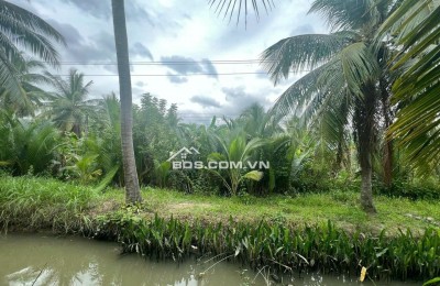 Bán Đất CNL Chính Chủ Tại Xã Nhơn Thạnh, Thành Phố Bến Tre, Bến Tre.