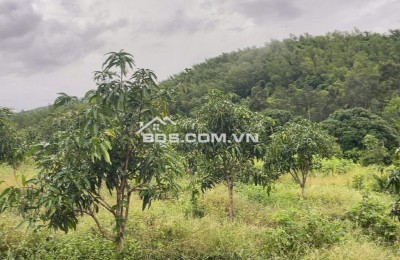 BÁN LÔ ĐẤT THÔN TÂY NAM, XÃ SÔNG CẦU, HUYỆN KHÁNH VĨNH, KHÁNH HOÀ.