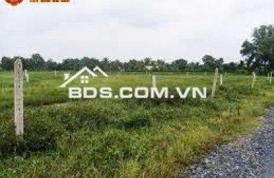 Gia đình cần bán gấp toàn bộ diện tích đất và nhà tại mặt tiền đường Điện Biên Phủ (Đường số 18 cũ)  thị trấn Lạc Tánh, huyện Tánh Linh, tỉnh Bình Thuận.