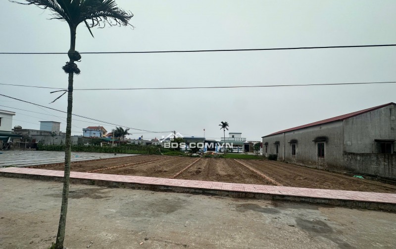 Bán nhanh lô đất sat mặt biển giá F0 tại Quất Lâm Nam Định