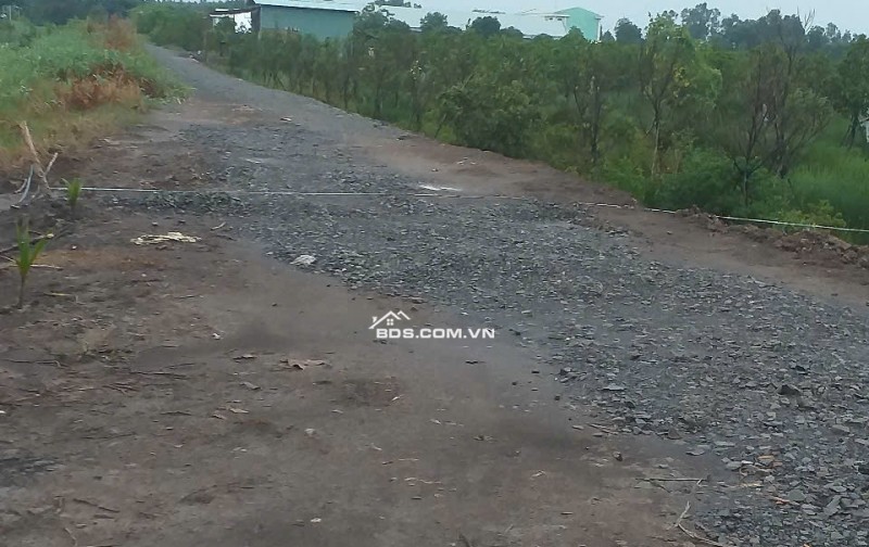 Chính Chủ Bán Nhà Tiền Chế Và 1300m2 Đất Tại Xã Thuận Bình, Thạnh Hóa, Long An