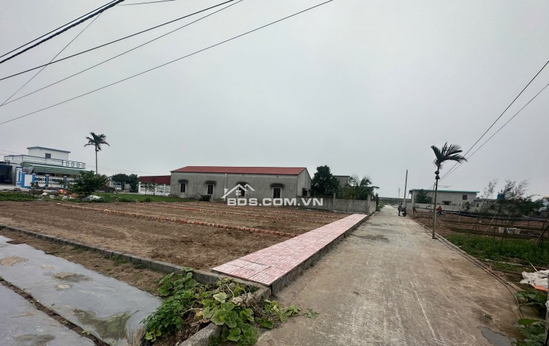 Bán nhanh lô đất sat mặt biển giá F0 tại Quất Lâm Nam Định