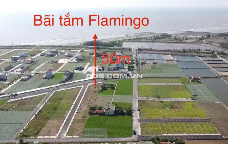 CẮT LỖ LÔ CỰC ĐẸP NGAY BÃI TẮM FLAMINGO TẠI QUẤT LÂM NAM ĐỊNH