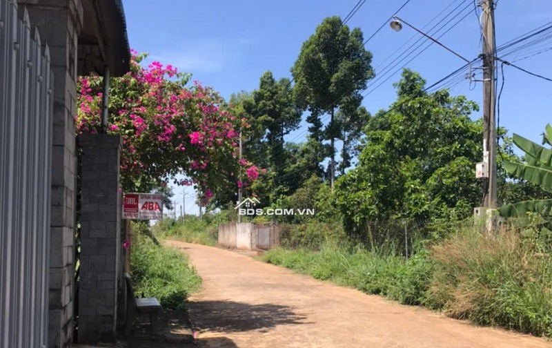 SIÊU HOT – Gia Kiệm, Thống Nhất chỉ cách quốc lộ 20 - 100m!
