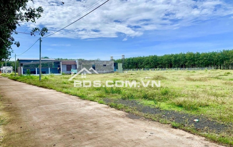 BÁN NHANH 202M2 ĐẤT THỔ CƯ SHR SÁT BÊN CHỢ TRƯỜNG HỌC DÂN CƯ HIỆN HỮU. GIÁ 190TR