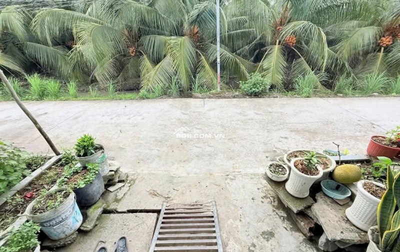 Bán Nhà 1 Trệt 1 Lửng Mặt Tiền Đường Bê Tông Tại Ấp 3, xã Tân Bửu, Bến Lức, Long An