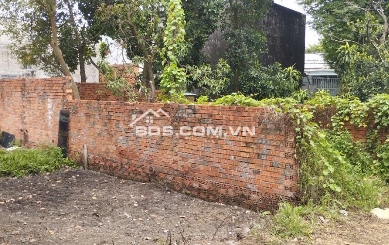Bán gấp 60m2 đất trồng cây lâu năm Lê Văn Khương, Đông Thạnh Hóc Môn