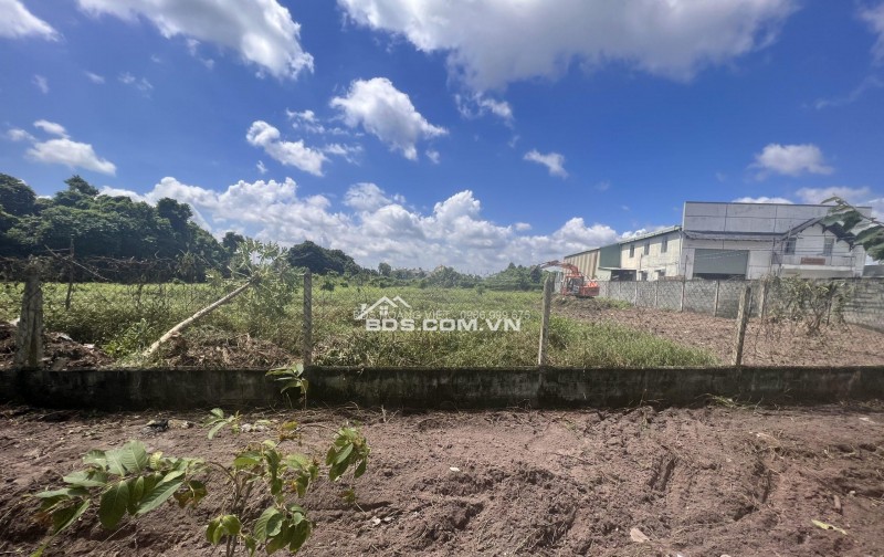 Bán Gấp 1000m2 Đất Vườn Giá 210 Triệu Liên Hệ 0706320631 gặp A An