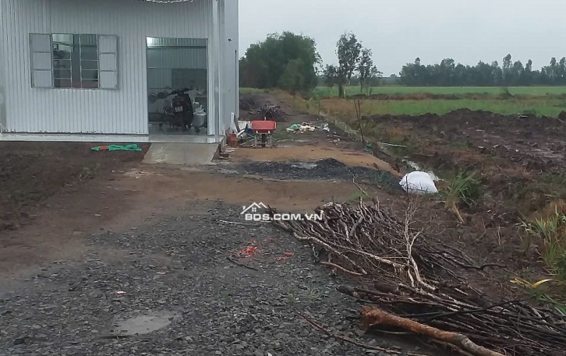 Chính Chủ Bán Nhà Tiền Chế Và 1300m2 Đất Tại Xã Thuận Bình, Thạnh Hóa, Long An