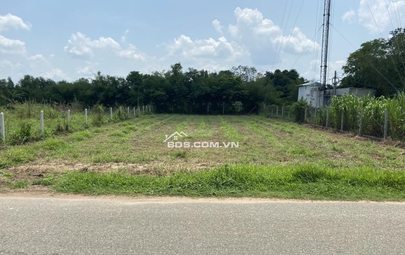BÁN GẤP LÔ ĐẤT 1000M2 CHỈ 190 TRIỆU – CHƠN THÀNH, BÌNH PHƯỚC