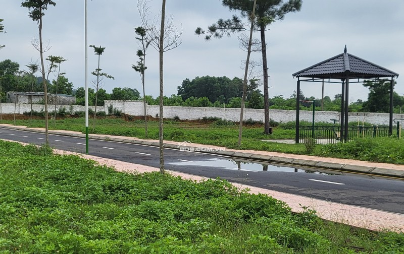 Cần bán nhanh lô đất 100m tại hòa lạc