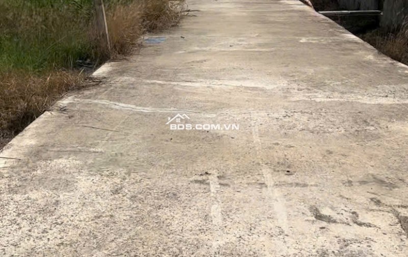 Bán 02 Lô Đất Liền Kề, Tổng Diện Tích 200m2 Tại  Ấp 1, Xã Nhị Thành, Huyện Thủ Thừa, Long An.