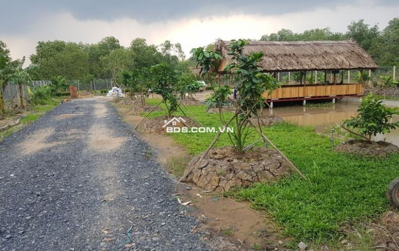 Bán Gấp 1000m2 Đất Vườn Giá 210 Triệu Liên Hệ 0706320631 gặp A An