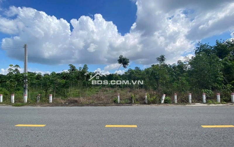 BÁN GẤP 1.250M2 SÁT BÊN CHỢ, TRƯỜNG HỌC ĐƯỜNG THÔNG VÀO KCN ĐÔNG DÂN. GIÁ 190TR