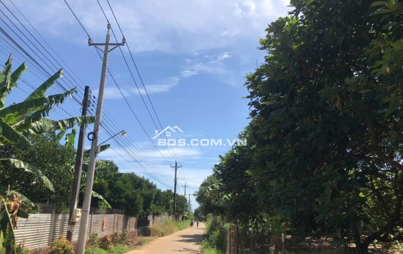 Chính chủ bán đất vườn Gia Kiệm, Thống Nhất khu vực nhiều tiềm năng phát triển
