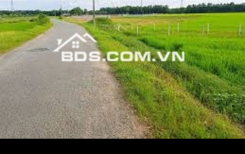 Bán rất gấp Lô đất tại mặt tiền đường Phú Thuận- thuộc xã Phú Mỹ Hưng, huyện Củ Chi, thành phố Hồ Chí Minh .