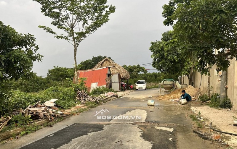 Cần bán gấp lô đất sổ riêng thổ cư 5*33 cạnh trường Trịnh Hoài Đức