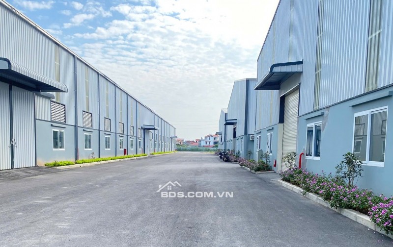 CHO THUÊ KHO TẠI XÃ TÂN TIẾN, VĂN GIANG, HƯNG YÊN