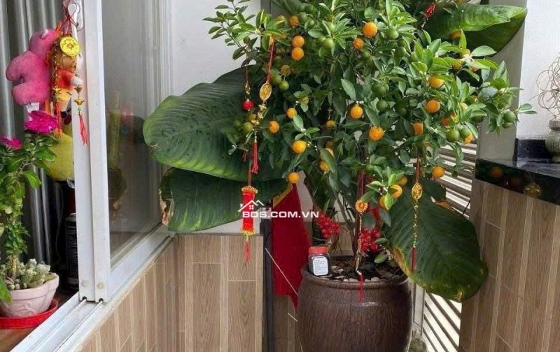 Chung cư Harmona,Trương Công Định,Tân BÌnh:110m2, 3PN, 2WC, 12tr/th.