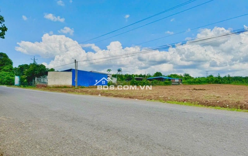 NỢ TIỀN BÁN GẤP 1.280M2 ĐẤT GẦN NHÀ MÁY, XÍ NGHIỆP ĐANG HĐ XÂY TRỌ CHO THUÊ LIỀN. GIÁ 180 TRIỆU