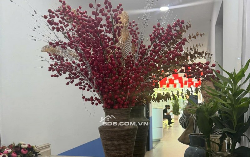 Bán Toà Nhà Building Mặt Phố Bùi Thị Xuân, Hai Bà Trưng 133m, 12 tầng, mt 7.1m, 160 tỷ