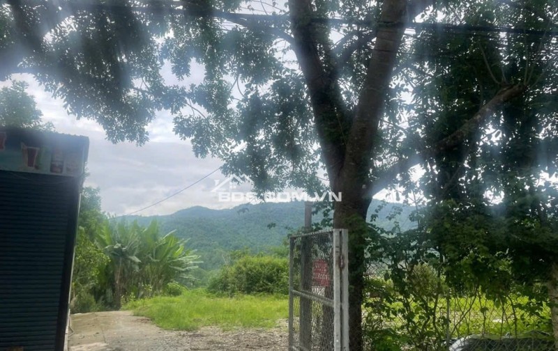Nhà ở thành phố