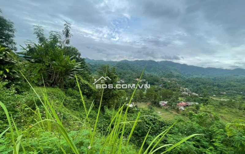 Bán đất nền