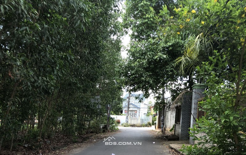  ĐẤT NỀN GIÁ CHỈ 9,56 TRIỆU/M² – SỔ RIÊNG – HỖ TRỢ VAY NGÂN HÀNG 